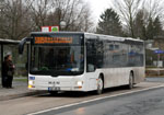 BVR DGF-DB 30