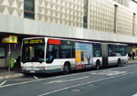 NVV 0563